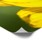 Poster - Zonnebloem Achteraanzicht (Hoek)