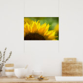 Poster Zonnebloem Bloem Natuur Fotografie (Keuken)