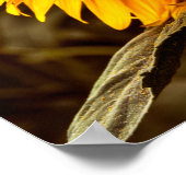 Poster Zonnebloem Elegantie (Hoek)