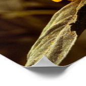 Poster Zonnebloem Elegantie (Hoek)