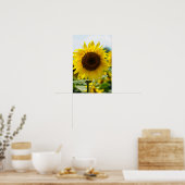 Poster - Zonnebloem Geïsoleerd (Keuken)
