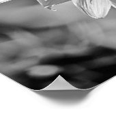Poster Zonnebloem In Het Veld BW (Hoek)