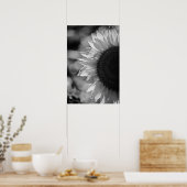 Poster Zonnebloem In Het Veld BW (Keuken)