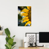Poster Zonnebloem Met Regendruppels Foto (Thuiskantoor)