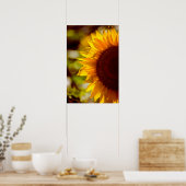Poster Zonnebloem Op Het Veld Fotografie (Keuken)