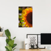 Poster Zonnebloem Op Het Veld Fotografie (Thuiskantoor)