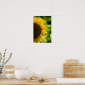 Poster Zonnebloem Op Het Veld Fotografie (Keuken)