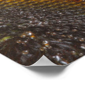 Poster zonnebloempitten (Hoek)