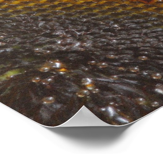 Poster zonnebloempitten (Hoek)