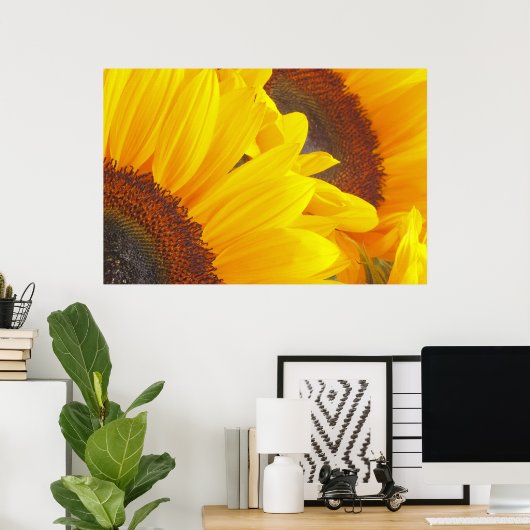 Poster zonnebloempitten (Thuiskantoor)