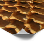 Poster - zonnebloempitten (Hoek)