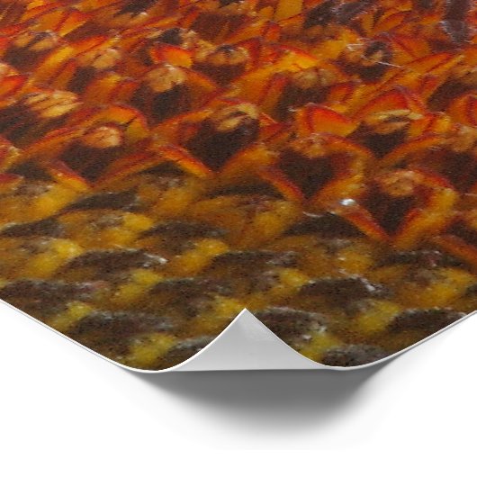 Poster zonnebloempitten (Hoek)