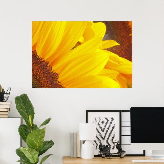 Poster zonnebloempitten (Thuiskantoor)