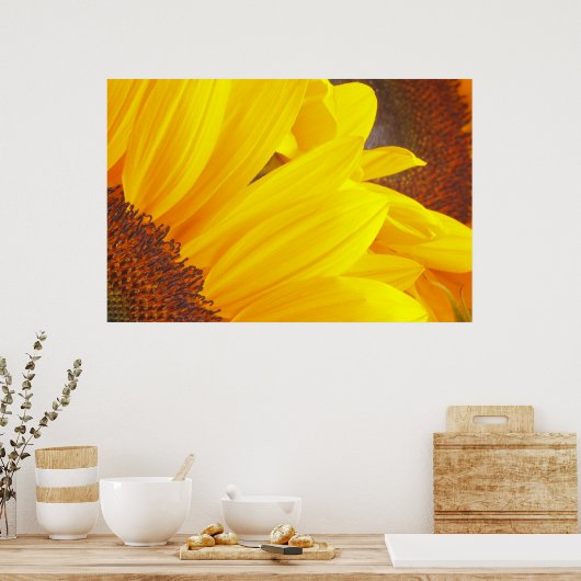 Poster zonnebloempitten (Keuken)