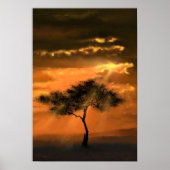 Poster zonnestralen (Voorkant)