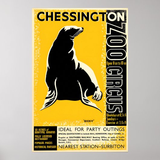 Poster Zoo Chessington (Zeehond) (Voorkant)