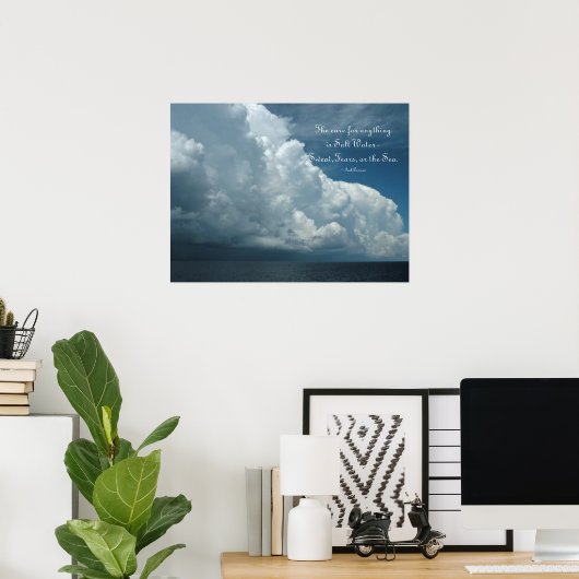 Poster zoutwaterzuivel (Thuiskantoor)