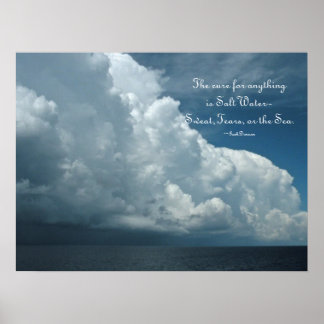 Poster zoutwaterzuivel
