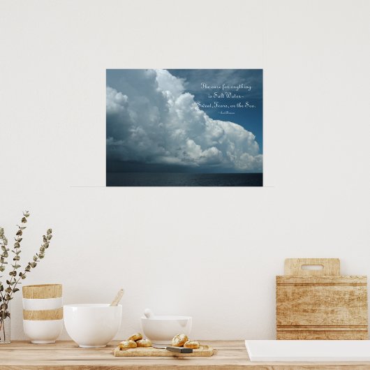 Poster zoutwaterzuivel (Keuken)