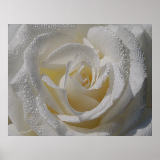 poster "Zuiverheid" (Voorkant)