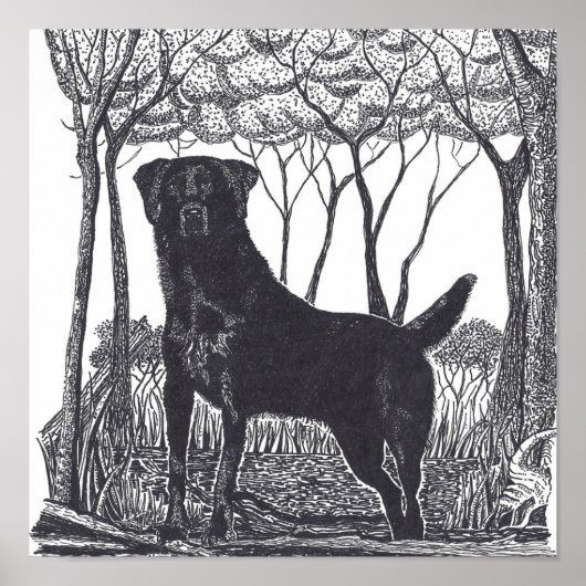 poster zwart lab (Voorkant)