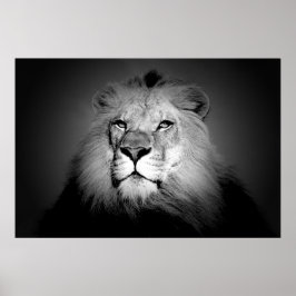 Poster zwart-wit