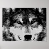 Poster zwart-wit Wolf Eyes (Voorkant)
