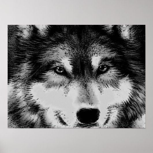 Poster zwart-wit Wolf Eyes (Voorkant)