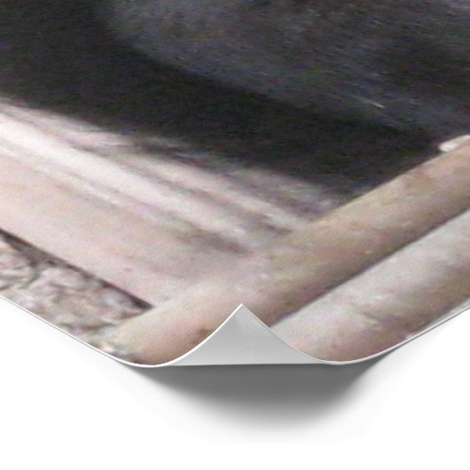 Poster Zwarte eekhoorn (Hoek)