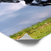 Poster - Zwarte Friesian Horse die vrij rijdt (Hoek)