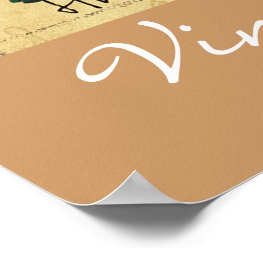 Poster zwempak (Hoek)