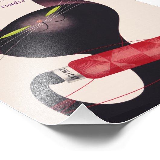 Poster Zwicky Cat van Donald Brun (Hoek)