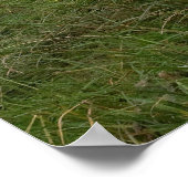 Poster Zwitserse Koe (Hoek)