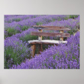 Posterbank in lavendel poster (Voorkant)