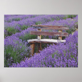 Posterbank in lavendel poster