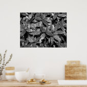Posterd Laurel, Aucuba Japonica - B/W Poster (Keuken)