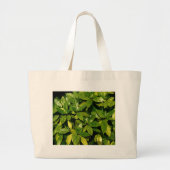 Posterd Laurel, Aucuba Japonica Grote Tote Bag (Voorkant)