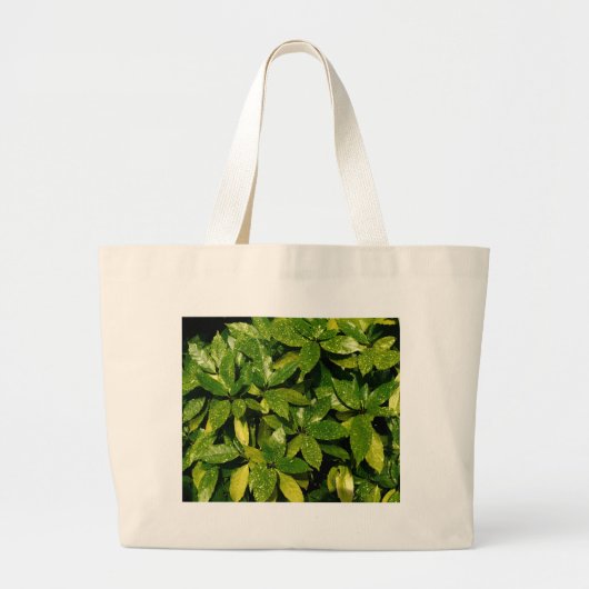 Posterd Laurel, Aucuba Japonica Grote Tote Bag (Voorkant)