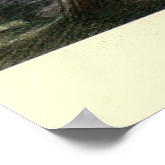  posterijen (1909) poster (Hoek)