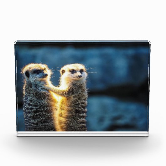 Posteringkat Fotoblokken (Voorkant)