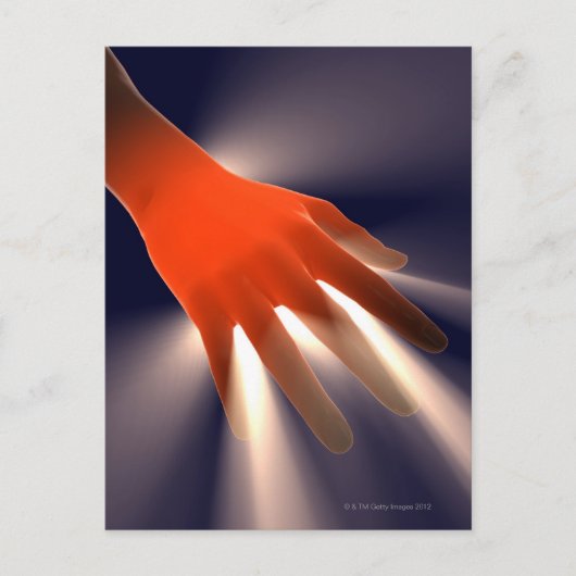 Posterior Uitzicht of Right Hand. Briefkaart (Voorkant)
