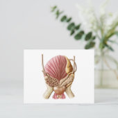 Posterior Uitzicht van urinaire blaas Briefkaart (Staand voorkant)