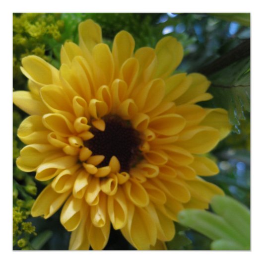 Posterprint Gele Bloem Perfect Poster (Voorkant)
