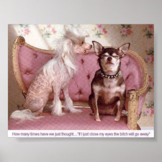 Posters