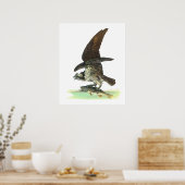 Posters/Afdruk: Osprey - John Audubon Poster (Keuken)