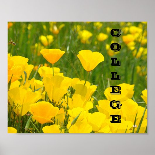 posters afdrukken School Leraren Poppies (Voorkant)