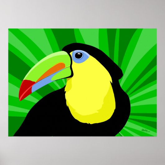 Posters en Prints met Toucan Art (Voorkant)