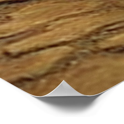 Posters en Prints van Afrikaanse modellen (Hoek)