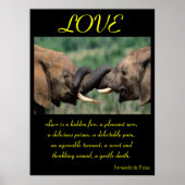 POSTERS HOUDEN Dier 5 (Voorkant)