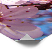 Posters houden van de zusters bloesems (Hoek)